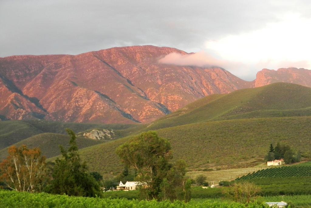 Klaasvoogds Cottages Robertson Dış mekan fotoğraf