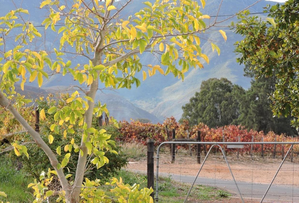 Klaasvoogds Cottages Robertson Dış mekan fotoğraf